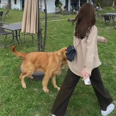 上帝的旨意